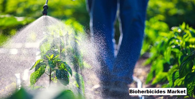 Bioherbicides Market 2029 By Size, Share, Trends, Opportunity, Forecast