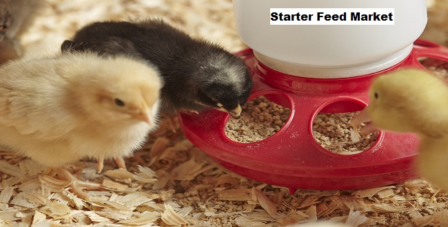 Starter Feed Market Is Anticipated To Expand In The Coming Years