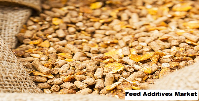 Feed Additives Market 2028 By Size, Share, Trends, Growth, Top Companies Forecast