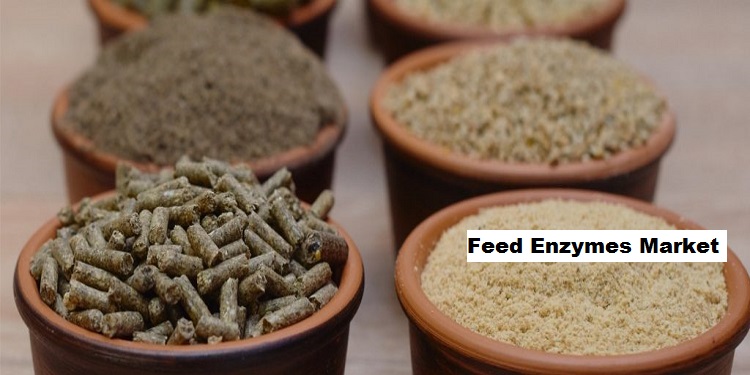 Feed Enzymes Market Analysis and Future Growth, Forecast 2028
