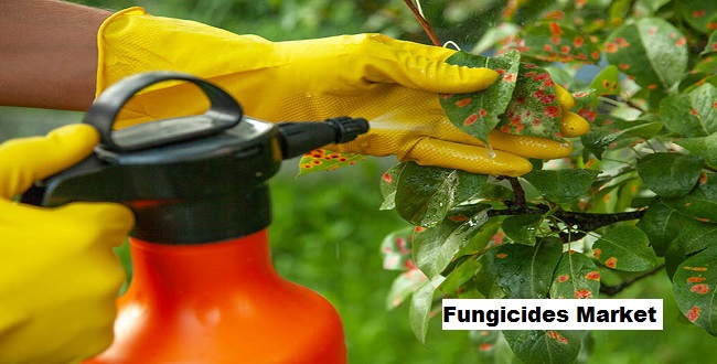 Fungicides Market Analysis 2028 By Size, Share, Growth and Forecast