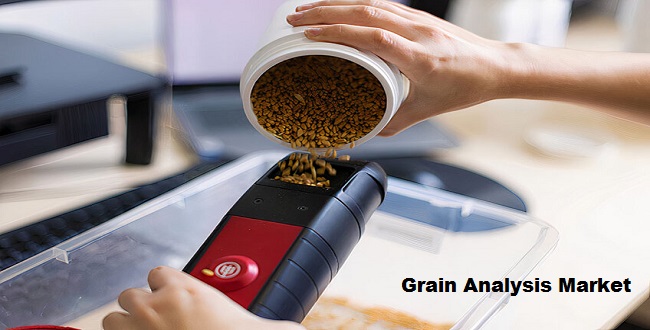 Grain Analysis Market: Size, Share, and Growth Trends | TechSci Research