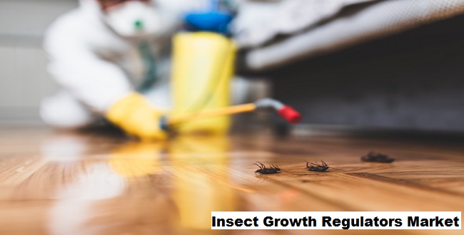 Insect Growth Regulators Market Outlook 2028 By Size, Share, Trends, and Growth