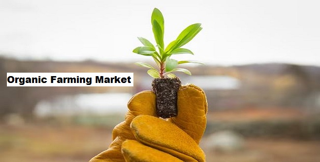 Organic Farming Market is Expected to Grow at a Robust Rate Till 2027