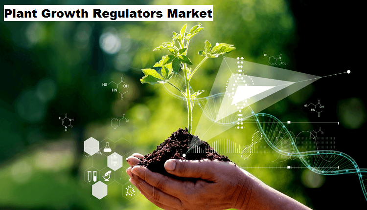 Plant Growth Regulators Market 2029 By Size, Share, Trends, Growth, Forecast