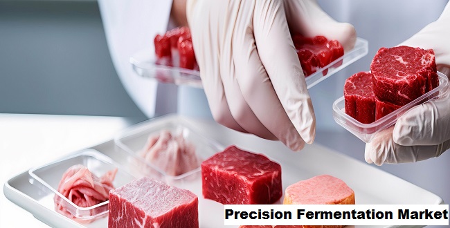 Precision Fermentation Market 2027 By Trends, Share, Growth and Demand Forecast