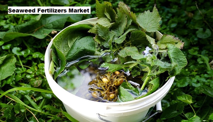 Seaweed Fertilizers Market 2029 By Size, Share, Trends, Growth, Forecast