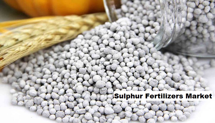 Sulphur Fertilizers Market Growth Forecast 2029 By Size, Share, and Trends, Growth
