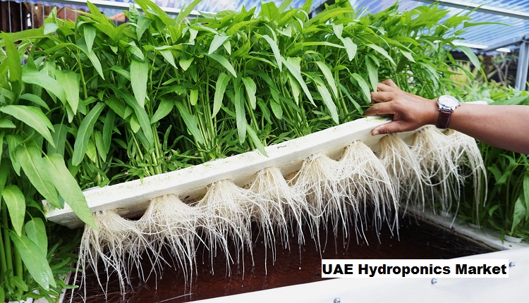 UAE Hydroponics Market Future: Size, Share, Trends, Growth And Forecast