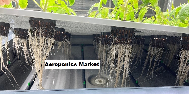 Aeroponics Market: Limited Arable Land Availability Boosting Industry Growth
