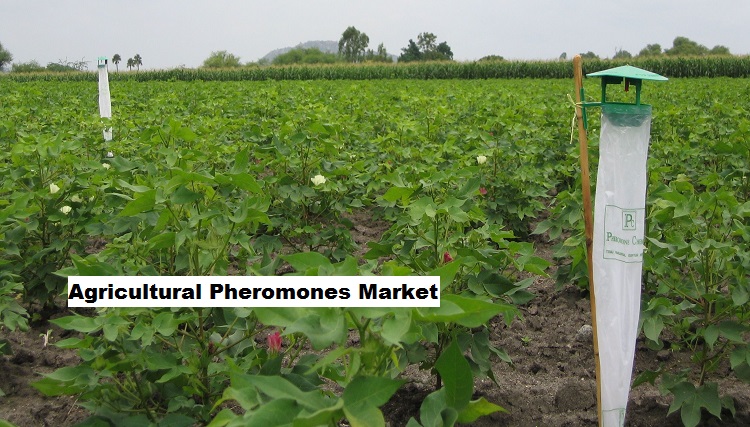 IoT and AI Integration Fuel Agricultural Pheromones Market Growth