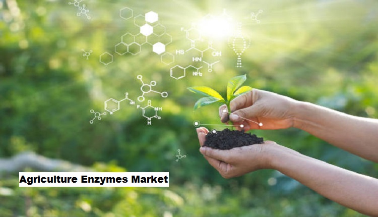 Agriculture Enzymes Market Anticipated Growth Linked to Vertical Farming and Indoor Gardening