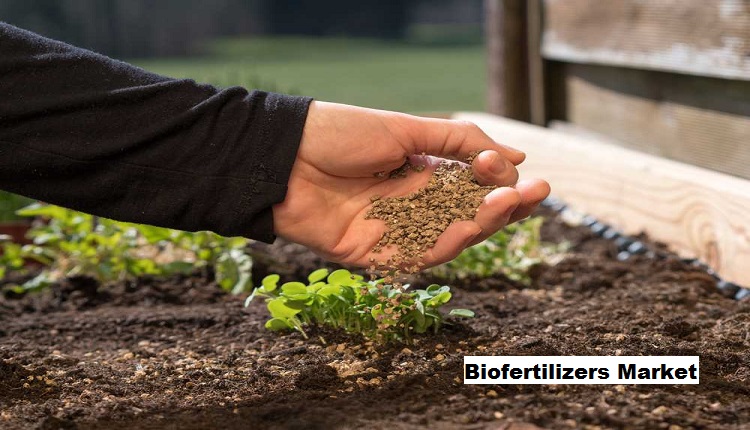 Global Demand for Organic Commodities Fuels Biofertilizers Market Growth