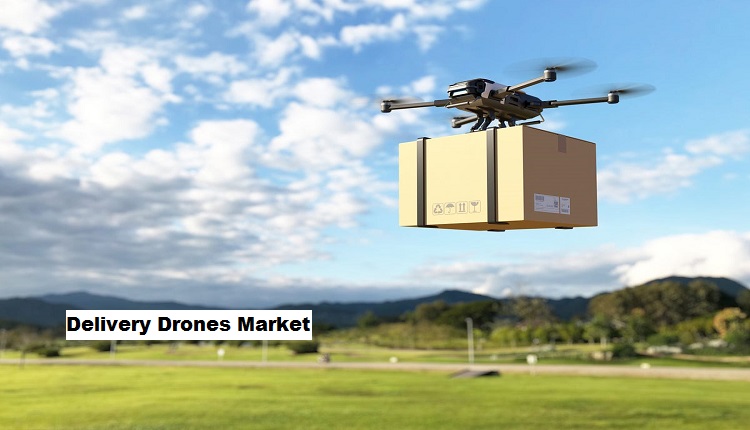 Delivery Drones Market Assessment: Trends and Opportunities