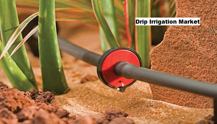 Drip Irrigation Market Report: Global Industry Size and Share