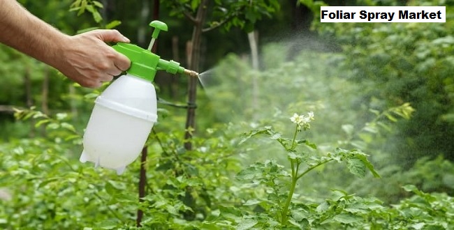 Foliar Spray Market: Technological Advancements and Agrochemical Use Fuel Growth
