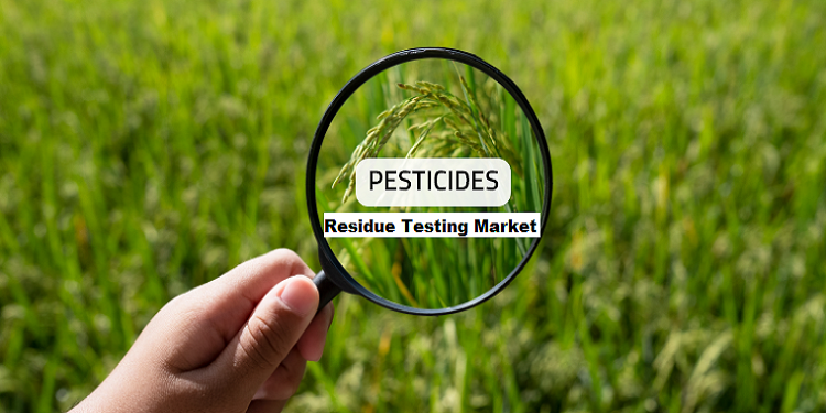 Pesticide Residue Testing Market: Growth Fueled by High Fruit and Vegetable Consumption
