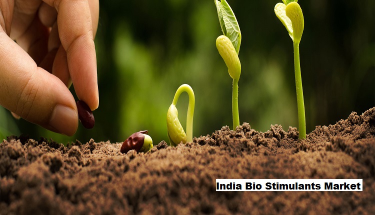 India Bio Stimulants Market: Precision Farming Fuels Growth